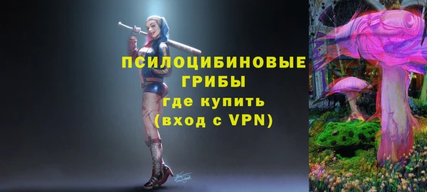 амф Беломорск