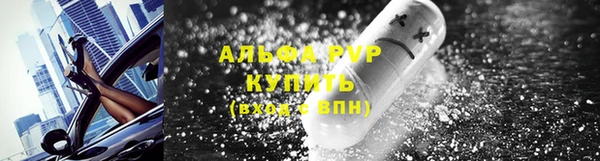 амф Беломорск