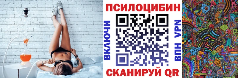 Галлюциногенные грибы GOLDEN TEACHER  ОМГ ОМГ ССЫЛКА  Междуреченск  купить  